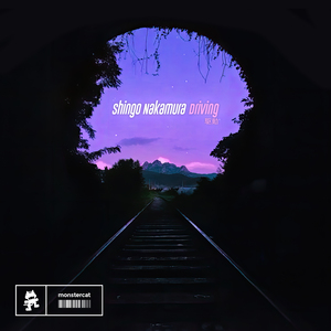 保守妻子被调教成荡 妇
