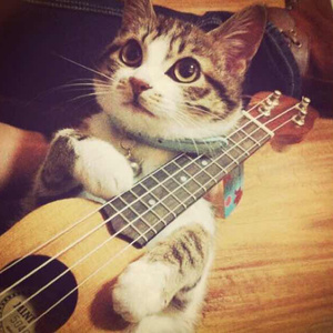 保守妻子被调教成荡 妇
