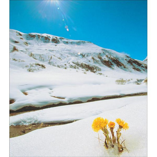 保守妻子被调教成荡 妇
